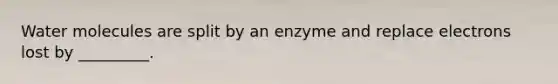 Water molecules are split by an enzyme and replace electrons lost by _________.