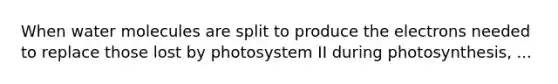 When water molecules are split to produce the electrons needed to replace those lost by photosystem II during photosynthesis, ...