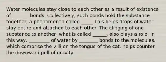 Water molecules stay close to each other as a result of existence of _______ bonds. Collectively, such bonds hold the substance together, a phenomenon called _____ This helps drops of water stay entire and attached to each other. The clinging of one substance to another, what is called ______, also plays a role. In this way, _________ of water by ________ bonds to the molecules, which comprise the villi on the tongue of the cat, helps counter the downward pull of gravity