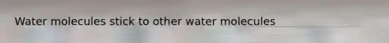 Water molecules stick to other water molecules