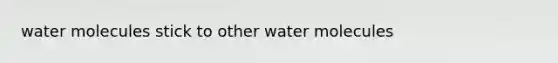 water molecules stick to other water molecules