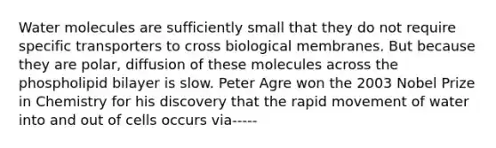 Water molecules are sufficiently small that they do not require specific transporters to cross biological membranes. But because they are polar, diffusion of these molecules across the phospholipid bilayer is slow. Peter Agre won the 2003 Nobel Prize in Chemistry for his discovery that the rapid movement of water into and out of cells occurs via-----