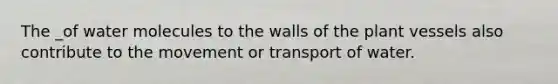 The _of water molecules to the walls of the plant vessels also contribute to the movement or transport of water.