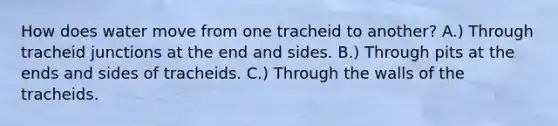 How does water move from one tracheid to another? A.) Through tracheid junctions at the end and sides. B.) Through pits at the ends and sides of tracheids. C.) Through the walls of the tracheids.