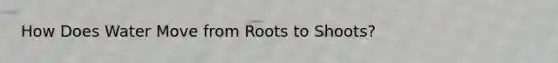 How Does Water Move from Roots to Shoots?