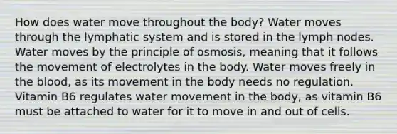 How does water move throughout the body? Water moves through the lymphatic system and is stored in the lymph nodes. Water moves by the principle of osmosis, meaning that it follows the movement of electrolytes in the body. Water moves freely in the blood, as its movement in the body needs no regulation. Vitamin B6 regulates water movement in the body, as vitamin B6 must be attached to water for it to move in and out of cells.