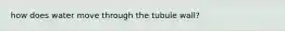 how does water move through the tubule wall?