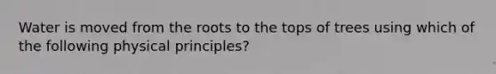 Water is moved from the roots to the tops of trees using which of the following physical principles?