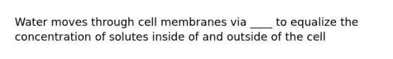 Water moves through cell membranes via ____ to equalize the concentration of solutes inside of and outside of the cell