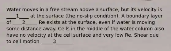 Water moves in a free stream above a surface, but its velocity is ____1____ at the surface (the no-slip condition). A boundary layer of ____2_____ Re exists at the surface, even if water is moving some distance away. Cells in the middle of the water column also have no velocity at the cell surface and very low Re. Shear due to cell motion _____3_______