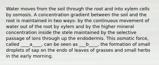 Water moves from the soil through the root and into xylem cells by osmosis. A concentration gradient between the soil and the root is maintained in two ways- by the continuous movement of water out of the root by xylem and by the higher mineral concentration inside the stele maintained by the selective passage of ions through up the endodermis. This osmotic force, called ____a____, can be seen as ___b____, the formation of small droplets of sap on the ends of leaves of grasses and small herbs in the early morning.