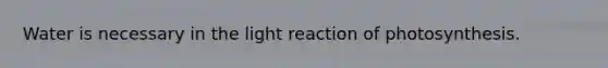 Water is necessary in the light reaction of photosynthesis.