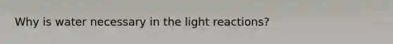 Why is water necessary in the light reactions?