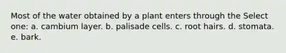 Most of the water obtained by a plant enters through the Select one: a. cambium layer. b. palisade cells. c. root hairs. d. stomata. e. bark.