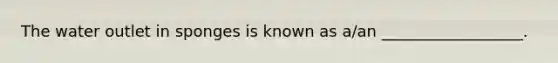 The water outlet in sponges is known as a/an __________________.