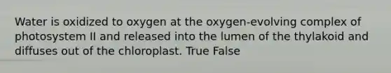 Water is oxidized to oxygen at the oxygen-evolving complex of photosystem II and released into the lumen of the thylakoid and diffuses out of the chloroplast. True False