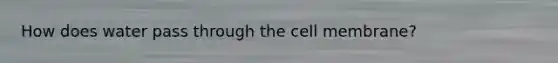 How does water pass through the cell membrane?