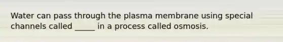 Water can pass through the plasma membrane using special channels called _____ in a process called osmosis.