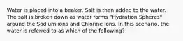 Water is placed into a beaker. Salt is then added to the water. The salt is broken down as water forms "Hydration Spheres" around the Sodium ions and Chlorine Ions. In this scenario, the water is referred to as which of the following?