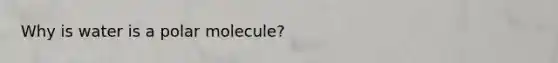 Why is water is a polar molecule?