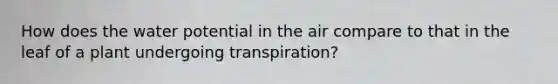 How does the water potential in the air compare to that in the leaf of a plant undergoing transpiration?