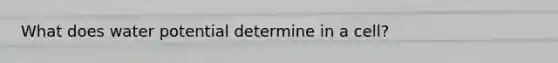 What does water potential determine in a cell?