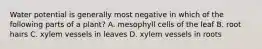 Water potential is generally most negative in which of the following parts of a plant? A. mesophyll cells of the leaf B. root hairs C. xylem vessels in leaves D. xylem vessels in roots