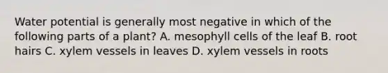 Water potential is generally most negative in which of the following parts of a plant? A. mesophyll cells of the leaf B. root hairs C. xylem vessels in leaves D. xylem vessels in roots