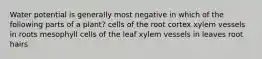 Water potential is generally most negative in which of the following parts of a plant? cells of the root cortex xylem vessels in roots mesophyll cells of the leaf xylem vessels in leaves root hairs