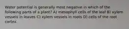 Water potential is generally most negative in which of the following parts of a plant? A) mesophyll cells of the leaf B) xylem vessels in leaves C) xylem vessels in roots D) cells of the root cortex