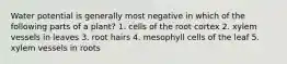 Water potential is generally most negative in which of the following parts of a plant? 1. cells of the root cortex 2. xylem vessels in leaves 3. root hairs 4. mesophyll cells of the leaf 5. xylem vessels in roots