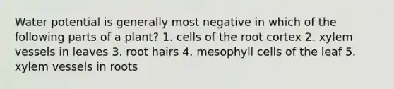 Water potential is generally most negative in which of the following parts of a plant? 1. cells of the root cortex 2. xylem vessels in leaves 3. root hairs 4. mesophyll cells of the leaf 5. xylem vessels in roots