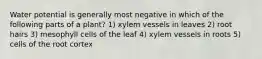 Water potential is generally most negative in which of the following parts of a plant? 1) xylem vessels in leaves 2) root hairs 3) mesophyll cells of the leaf 4) xylem vessels in roots 5) cells of the root cortex