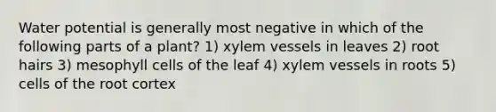 Water potential is generally most negative in which of the following parts of a plant? 1) xylem vessels in leaves 2) root hairs 3) mesophyll cells of the leaf 4) xylem vessels in roots 5) cells of the root cortex