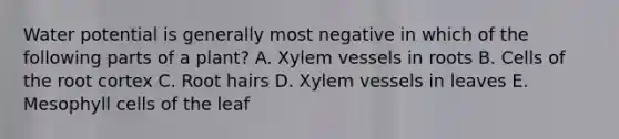 Water potential is generally most negative in which of the following parts of a plant? A. Xylem vessels in roots B. Cells of the root cortex C. Root hairs D. Xylem vessels in leaves E. Mesophyll cells of the leaf