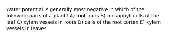 Water potential is generally most negative in which of the following parts of a plant? A) root hairs B) mesophyll cells of the leaf C) xylem vessels in roots D) cells of the root cortex E) xylem vessels in leaves