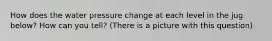 How does the water pressure change at each level in the jug below? How can you tell? (There is a picture with this question)