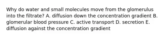 Why do water and small molecules move from the glomerulus into the filtrate? A. diffusion down the concentration gradient B. glomerular blood pressure C. active transport D. secretion E. diffusion against the concentration gradient