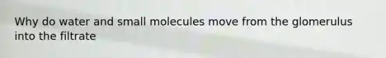 Why do water and small molecules move from the glomerulus into the filtrate