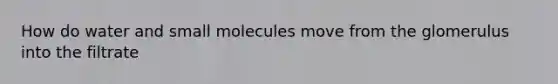 How do water and small molecules move from the glomerulus into the filtrate