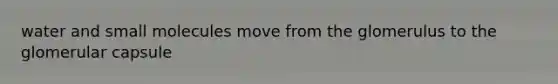 water and small molecules move from the glomerulus to the glomerular capsule
