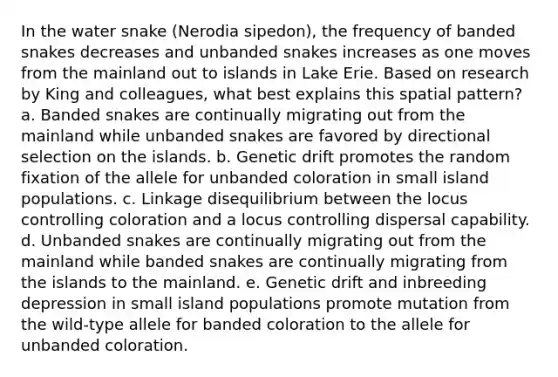 In the water snake (Nerodia sipedon), the frequency of banded snakes decreases and unbanded snakes increases as one moves from the mainland out to islands in Lake Erie. Based on research by King and colleagues, what best explains this spatial pattern? a. Banded snakes are continually migrating out from the mainland while unbanded snakes are favored by directional selection on the islands. b. Genetic drift promotes the random fixation of the allele for unbanded coloration in small island populations. c. Linkage disequilibrium between the locus controlling coloration and a locus controlling dispersal capability. d. Unbanded snakes are continually migrating out from the mainland while banded snakes are continually migrating from the islands to the mainland. e. Genetic drift and inbreeding depression in small island populations promote mutation from the wild-type allele for banded coloration to the allele for unbanded coloration.