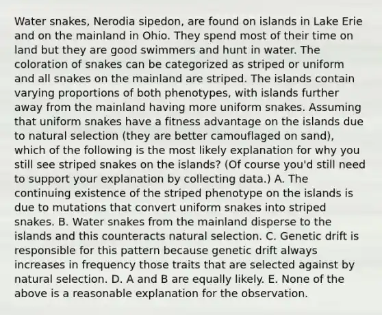 Water snakes, Nerodia sipedon, are found on islands in Lake Erie and on the mainland in Ohio. They spend most of their time on land but they are good swimmers and hunt in water. The coloration of snakes can be categorized as striped or uniform and all snakes on the mainland are striped. The islands contain varying proportions of both phenotypes, with islands further away from the mainland having more uniform snakes. Assuming that uniform snakes have a fitness advantage on the islands due to natural selection (they are better camouflaged on sand), which of the following is the most likely explanation for why you still see striped snakes on the islands? (Of course you'd still need to support your explanation by collecting data.) A. The continuing existence of the striped phenotype on the islands is due to mutations that convert uniform snakes into striped snakes. B. Water snakes from the mainland disperse to the islands and this counteracts natural selection. C. Genetic drift is responsible for this pattern because genetic drift always increases in frequency those traits that are selected against by natural selection. D. A and B are equally likely. E. None of the above is a reasonable explanation for the observation.