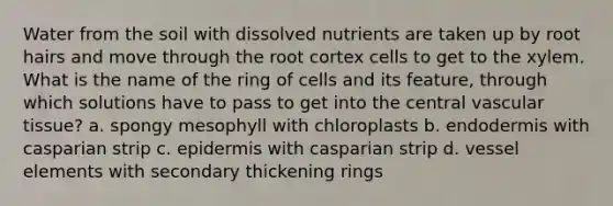 Water from the soil with dissolved nutrients are taken up by root hairs and move through the root cortex cells to get to the xylem. What is the name of the ring of cells and its feature, through which solutions have to pass to get into the central vascular tissue? a. spongy mesophyll with chloroplasts b. endodermis with casparian strip c. epidermis with casparian strip d. vessel elements with secondary thickening rings