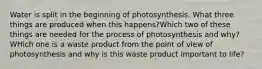 Water is split in the beginning of photosynthesis. What three things are produced when this happens?Which two of these things are needed for the process of photosynthesis and why? WHich one is a waste product from the point of view of photosynthesis and why is this waste product important to life?