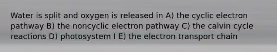 Water is split and oxygen is released in A) the cyclic electron pathway B) the noncyclic electron pathway C) the calvin cycle reactions D) photosystem I E) the electron transport chain