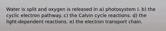 Water is split and oxygen is released in a) photosystem I. b) the cyclic electron pathway. c) the Calvin cycle reactions. d) the light-dependent reactions. e) the electron transport chain.