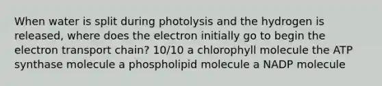 When water is split during photolysis and the hydrogen is released, where does the electron initially go to begin the electron transport chain? 10/10 a chlorophyll molecule the ATP synthase molecule a phospholipid molecule a NADP molecule