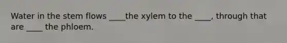 Water in the stem flows ____the xylem to the ____, through that are ____ the phloem.