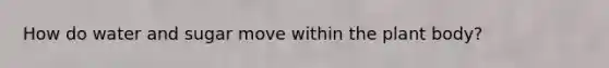 How do water and sugar move within the plant body?